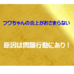 フワちゃん　不適切投稿　問題行動