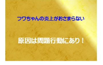 フワちゃん　不適切投稿　問題行動