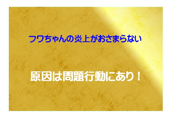 フワちゃん　不適切投稿　問題行動